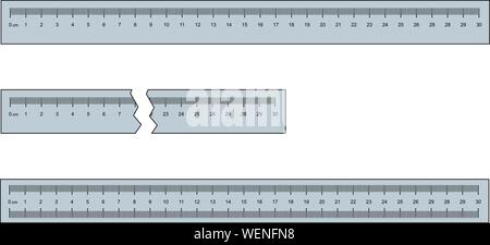 30 cm or 300 mm ruler set vector illustration Stock Vector