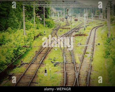 Railroad Tracks On Field By Trees