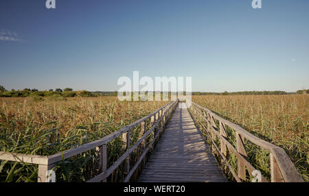 Wooden boardwalk and blue sky in Bad Buchau. Federseesteg and Lake Federsee has quickly become well known through archaeological digs in the moor Stock Photo