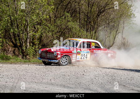 A Volvo Amazon rally car races through Dyfnant forest on the Plains Rally in North Wales Stock Photo