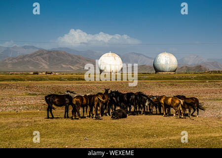 On the plateau between the Pamir and Tian Shan mountains, Kyrgyz horses graze in front of an abandoned Soviet radar station on the Silk Road near Kektyube, Kyrgyzstan Stock Photo