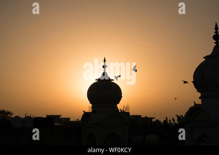 Silhouette of a gurdwara in a yellow background with pigeons. Stock Photo