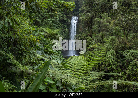 La Paz Waterfall Garden, Alajuela, Costa Rica, May 2019 Stock Photo