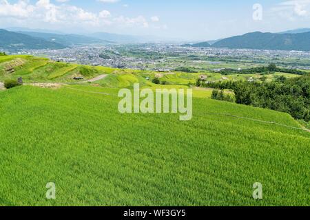 Obasute rice terrace, Chikuma City, Nagano Prefecture, Japan Stock Photo