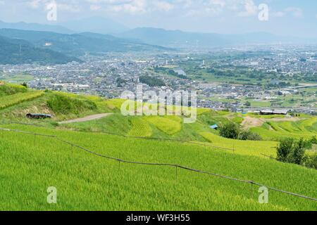 Obasute rice terrace, Chikuma City, Nagano Prefecture, Japan Stock Photo