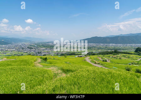 Obasute rice terrace, Chikuma City, Nagano Prefecture, Japan Stock Photo