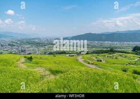 Obasute rice terrace, Chikuma City, Nagano Prefecture, Japan Stock Photo