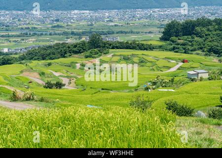 Obasute rice terrace, Chikuma City, Nagano Prefecture, Japan Stock Photo