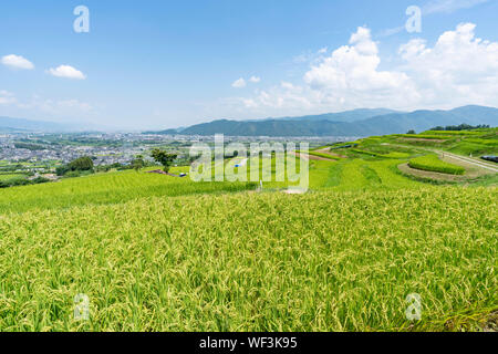 Obasute rice terrace, Chikuma City, Nagano Prefecture, Japan Stock Photo