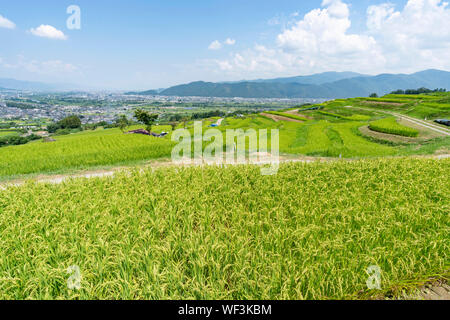 Obasute rice terrace, Chikuma City, Nagano Prefecture, Japan Stock Photo