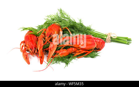 Fresh boiled red crayfish isolated on white background Stock Photo