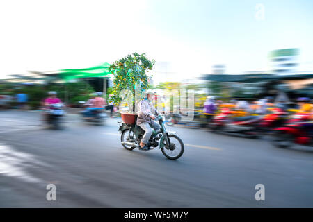 Young Vietnamese driving a motorbike with people holder flower pot behind decoration purposes house for Lunar new year in Ho Chi Minh city, Vietnam Stock Photo