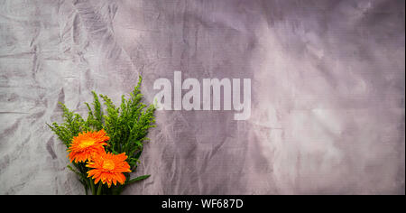 Orange Gerbera Daisy flowers on grunge background Stock Photo
