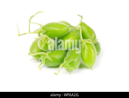 Green chickpeas in the pod isolated on white background Stock Photo