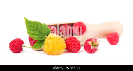 Red and yellow raspberries with leaves isolated on white background Stock Photo