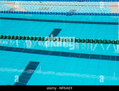 Competitive swimming pool with lane markers and flags Stock Photo ...