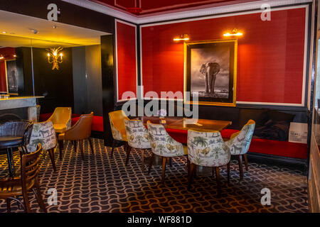 The Royal Hotel Paddington, Sydney, NSW, Australia. Polished hangout with a ground-floor pub, upstairs restaurant and a rooftop bar with city views. Stock Photo