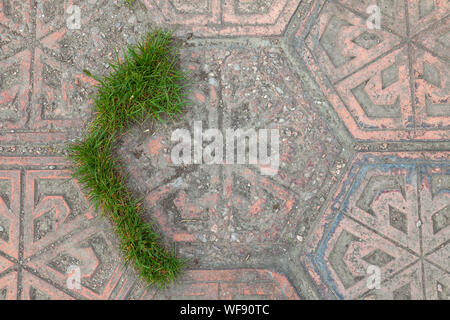 Top view of the paving slabs in the form of a rhombus with green grass making its way across the street. Nature conquers people. Stock Photo