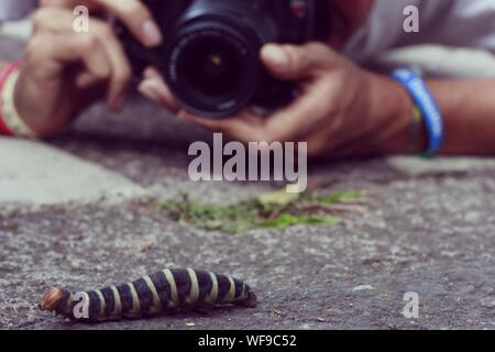 Man Photographing Caterpillar On Ground