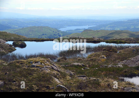 Lake Windermere from some Small Tarns near the Summit of the Wainwright Tarn Crag in the Lake District National Park, Cumbria, England, UK Stock Photo