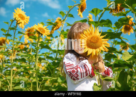 A child in a field of sunflowers in an embroidered shirt. Ukrainian. Selective focus. Stock Photo