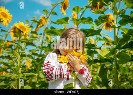 A child in a field of sunflowers in an embroidered shirt. Ukrainian. Selective focus. Stock Photo