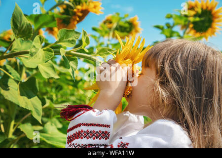 A child in a field of sunflowers in an embroidered shirt. Ukrainian. Selective focus. Stock Photo