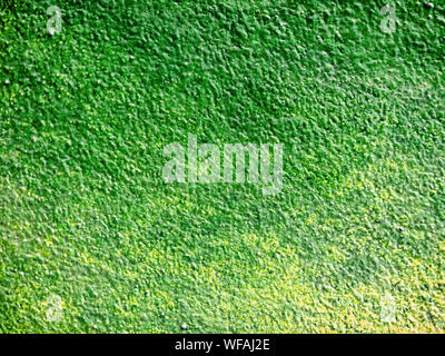 Empty green old wall texture. Painted distressed wall surface, Copy space, Cement wall texture Stock Photo