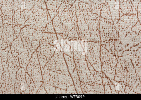Light textile background with effective surface. High quality texture in extremely high resolution. Stock Photo