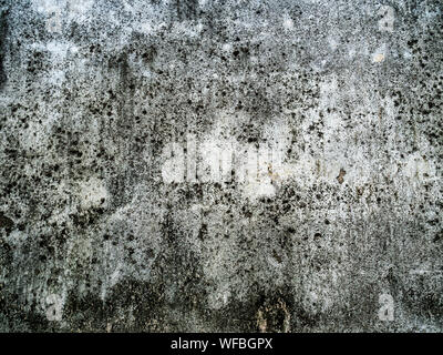 The old plaster wall art has water clabata and black fungus, Closeup old weathered concrete wall texture, With black stains on the wall Stock Photo