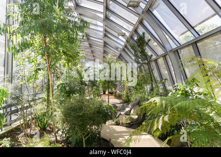 Paris green architecture - a greenhouse surrounding the tennis stadium Simon Mathieu, situated in the Jardin des Serres d'Auteuil botanical garden. Stock Photo