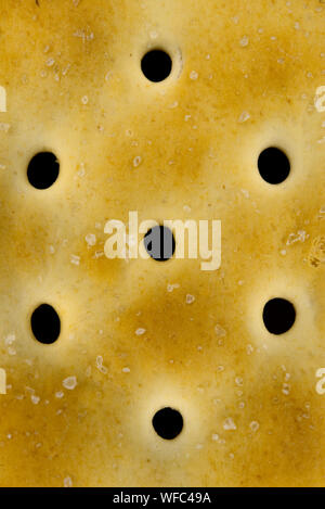 Cracker Biscuit Close up with Holes and Salt Stock Photo
