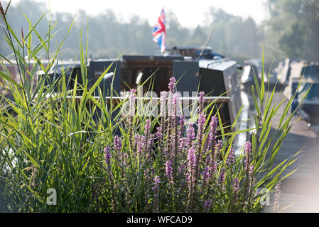 canal boat on british water holiday Stock Photo