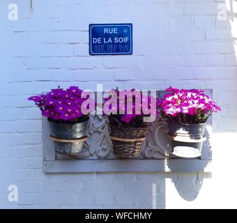 Flower pots hanging on a wall on a small street in Ronda, Andalusia