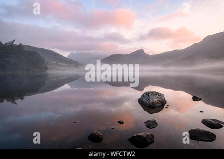 Lovely misty late summer sunrise at Blea Tarn in the Lake District Stock Photo