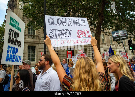 UK. 31st Aug, 2019. Demonstrators in Whitehall protesting against the Government's decision to prorogue Parliament which gives very little time for debate ahead of the October 31st dealine to leave the European Union. The 'Stop the Coup' movement protesting at the gates of 10 Downing Street. Credit: Tommy London/Alamy Live News Stock Photo