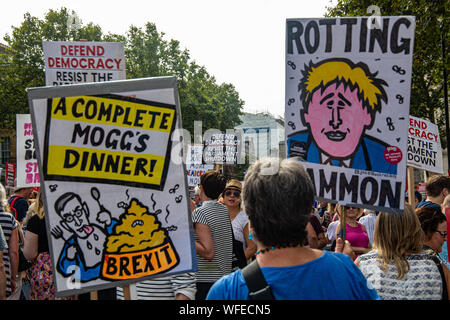 London UK 31-August 2019  Thousands of people convened opposite Downing Street to protest against the proposed shut down of parliament by British Primer Minister Boris Johnson.Organised by anti-Brexit group Another Europe Is Possible, along with other political groups, the Stop The Coup, Defend Democracy event rallies against what it refers to as Boris Johnson's 'Brexit agenda'.Paul Quezada-Neiman/Alamy Live News Stock Photo