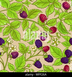 boysenberry vector pattern on color  background Stock Vector