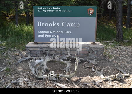 Katmai National Park, Alaska. U.S.A. June 26-28, 2019. Brooks Camp welcome sign.  Gateway to a world-class Coastal Brown Bear (Ursus arctos) habitat Stock Photo