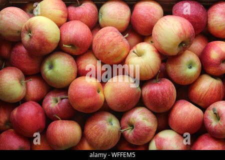 Apples ready for sale in the store Stock Photo