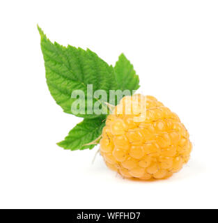 Raspberry plant with yellow leaves, green veins. Nutrient deficiency ...