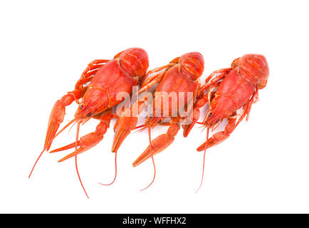 Three red boiled crayfish isolated on white background Stock Photo