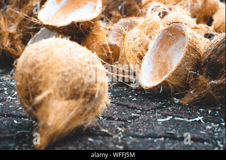 Empty Coconut Shells Stock Photo - Alamy