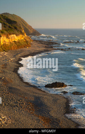 Beach from Strawberry Hill, Neptune State Park, Oregon Stock Photo