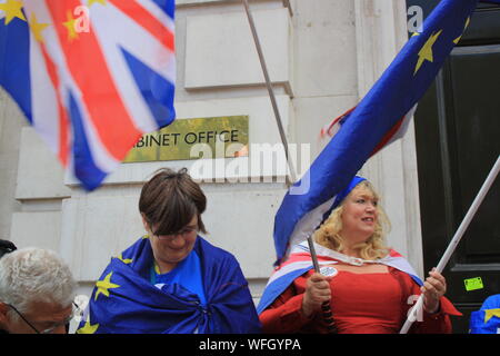London, UK, 31st August, 2019. Protesters gather outside Downing Street to protest against the prorogation of Parliament by Prime Minister Boris Johnson, London, UK. Credit: Helen Garvey/Alamy Live News