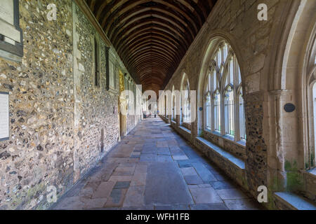 Medieval paved cloisters and tussed roof of Chichester Cathedral in Chichester, a city in and county town of West Sussex, southern England, UK Stock Photo