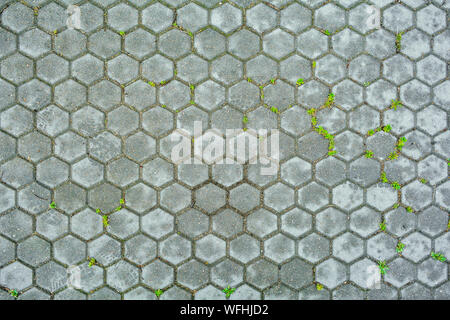Hexagonal stone background of pavement with grass. Texture of hexagonal cobble paving is laid on the city street Stock Photo