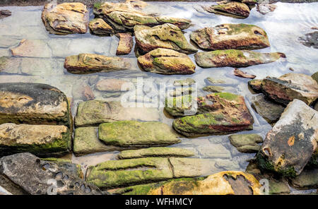 Eroded rocks at the shoreline at Cabbage Tree Bay Manly Sydney NSW Australia. Stock Photo