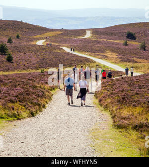 Men women children and families walking Offas Dyke footpath in the Clwydian Hills near the Jubliee Tower on the summit of Moel Famau  mountain Wales Stock Photo