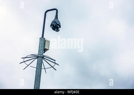 CCTV camera with spiked protection ring Stock Photo